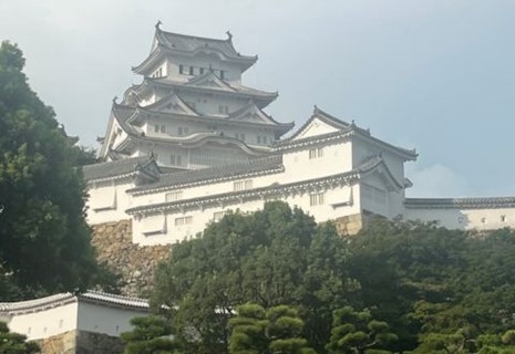 Thumbnail hemsida (10)