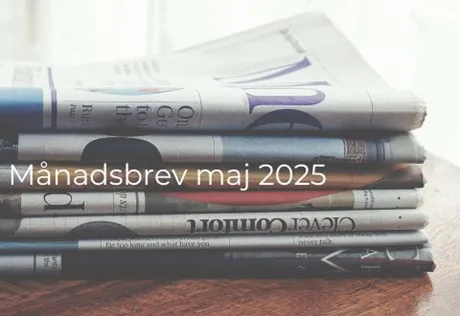 Månadsbrev small cap thumbnail (7)