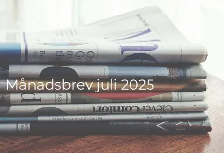 Månadsbrev small cap thumbnail (9)
