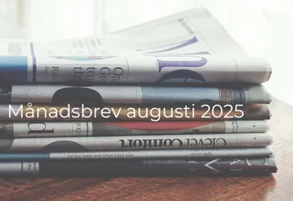 Månadsbrev small cap thumbnail (10)