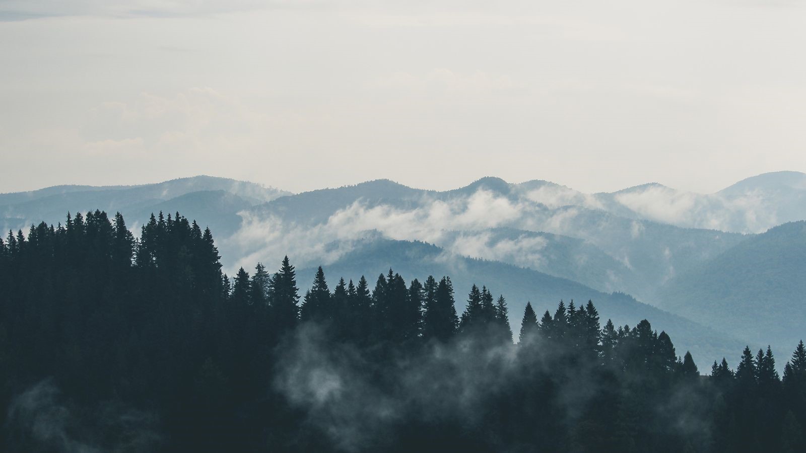 Toppbild hemsida (14)