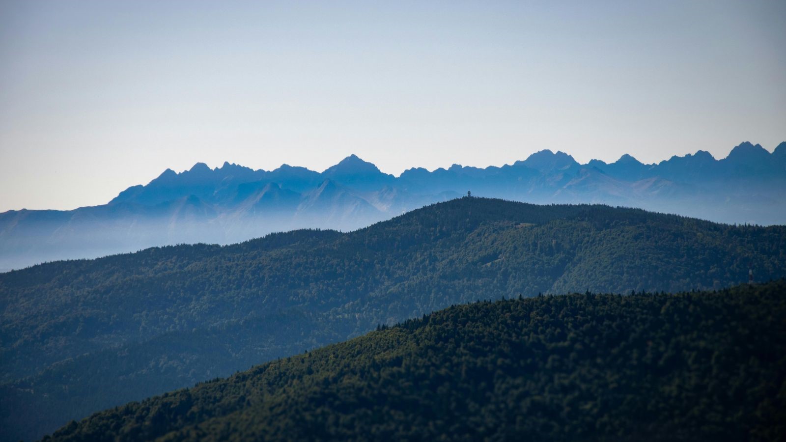 Toppbild hemsida (15)