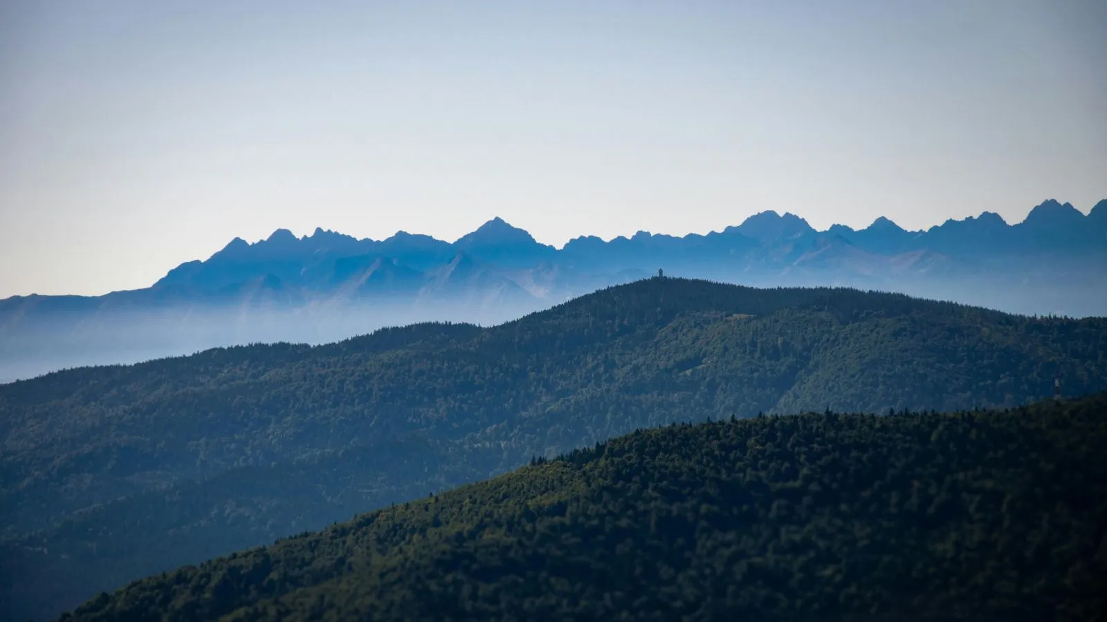 Toppbild hemsida (15)