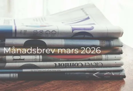 Månadsbrev small cap thumbnail (17)