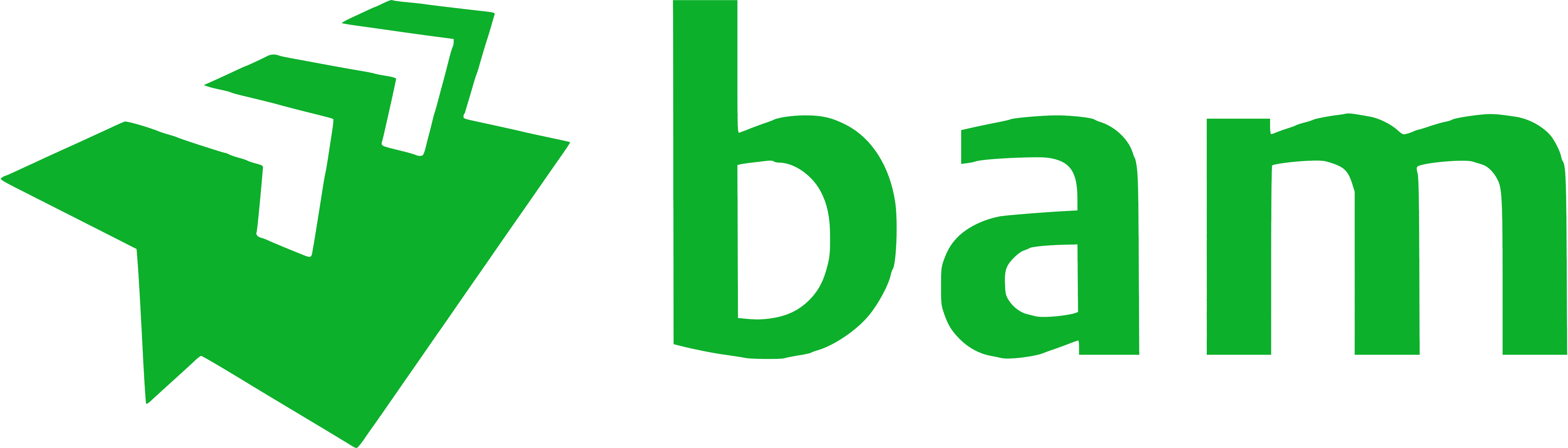 BAm