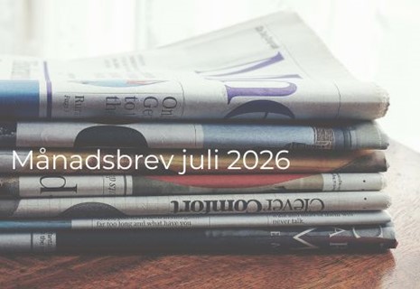 Månadsbrev small cap thumbnail (21)