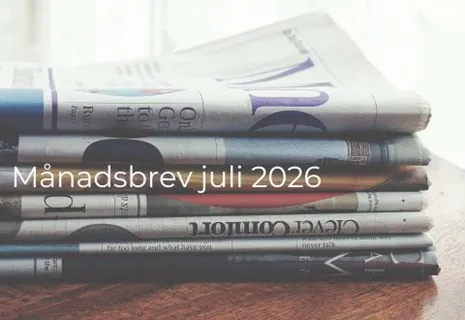 Månadsbrev small cap thumbnail (21)